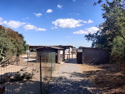 Poney Club Dragey Ronthon, Centre Equestres à Dragey-Ronthon