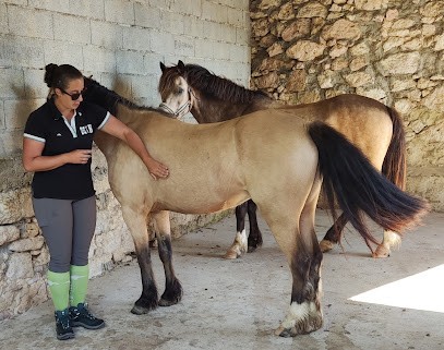 Les Ecuries De Talives, Centre Equestres à Foulayronnes