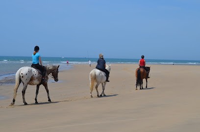 Stud De Silver, Centre Equestres à Soulac-sur-Mer