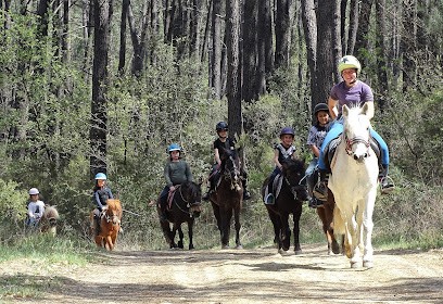 Equestrian Center Les Chimères, Centre Equestres à Collorgues