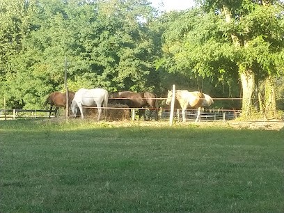 Les Écuries Du Lac D'hostens, Centre Equestres à Hostens