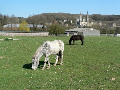 Les Ecuries Du Shamrock, Centre Equestres à La Chapelle-Montligeon
