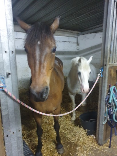 Kavalcade Et Compagnie, Centre Equestres à Villeparisis