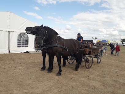 LES ECURIES DE SALCY, Centre Equestres à Sens