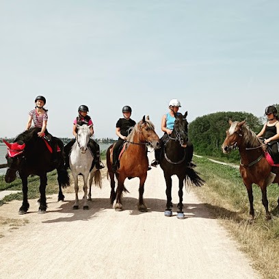 CHEVAL AVENTUR, Centre Equestres à Décines-Charpieu