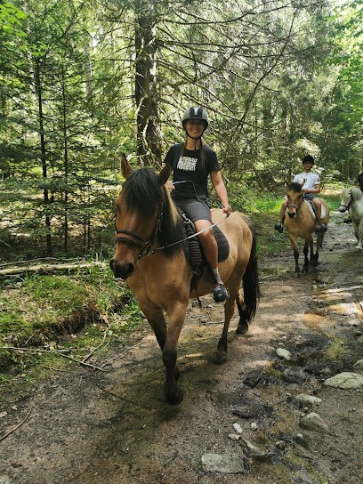 LES CRINS DE RAMBERCHAMP, Centre Equestres à Gérardmer
