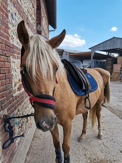 ECURIES DE LA PIERRE GRISE, Centre Equestres à Montivilliers