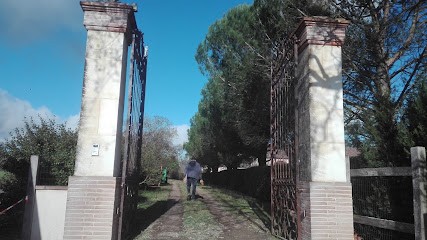 Haras de Saiguède, Centre Equestres à Saiguède