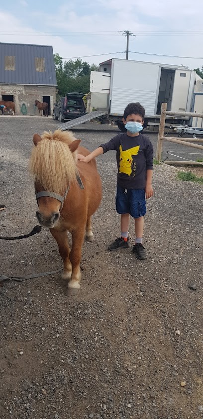 Cavalier De Maison Rouge, Centre Equestres à La Chapelle-Saint-Mesmin