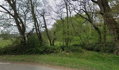 Elevage De Peybotte, Centre Equestres à Lignan-de-Bordeaux