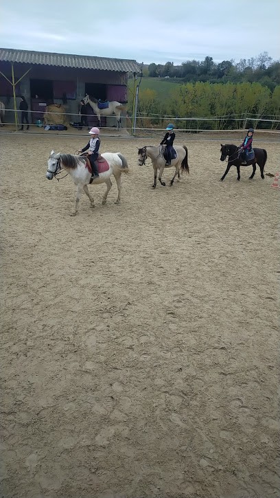 LES ECURIES DE MONTAUT, Centre Equestres à Montaut