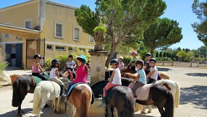 Equestrian Center Frigouyé, Centre Equestres à Rochefort-du-Gard