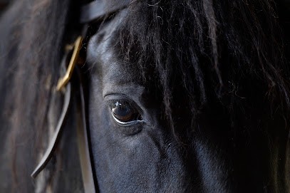 EquiPONAtura, Centre Equestres à Orgères