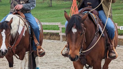 Rockin'k Ranch, Centre Equestres à Romanswiller