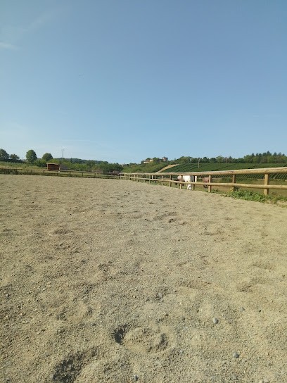 Centre Équestre de Morancé, Centre Equestres à Morancé