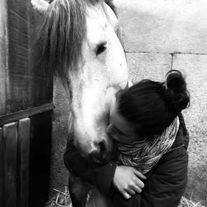 Écurie Tovaline, Pension pour Chevaux à Petitefontaine