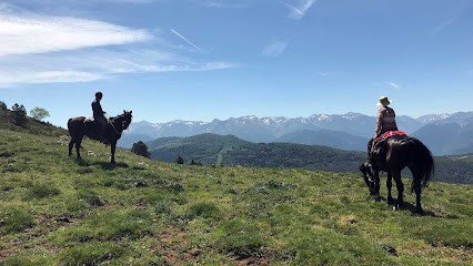 Pôle Équestre De Léran - Labeda Philippe, Centre Equestres à Léran
