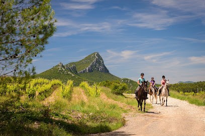 Horse Aventure, Centre Equestres à Fontanès