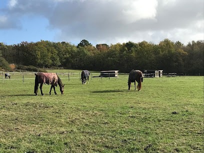 Ecurie Philiberts - Valérie GUILLAUME-DINARD, Centre Equestres à Fossès-et-Baleyssac