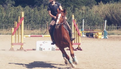 Equi-Loisir 66 Equestrian Center, Centre Equestres à Trouillas