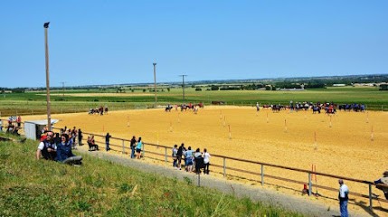PONEY CLUB DE BEL AIR, Centre Equestres à Saint-Gelais