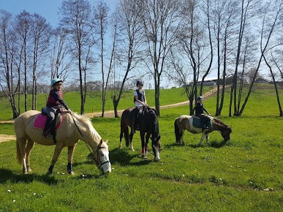 Equestrian Center Du Pic, Centre Equestres à Gréez-sur-Roc