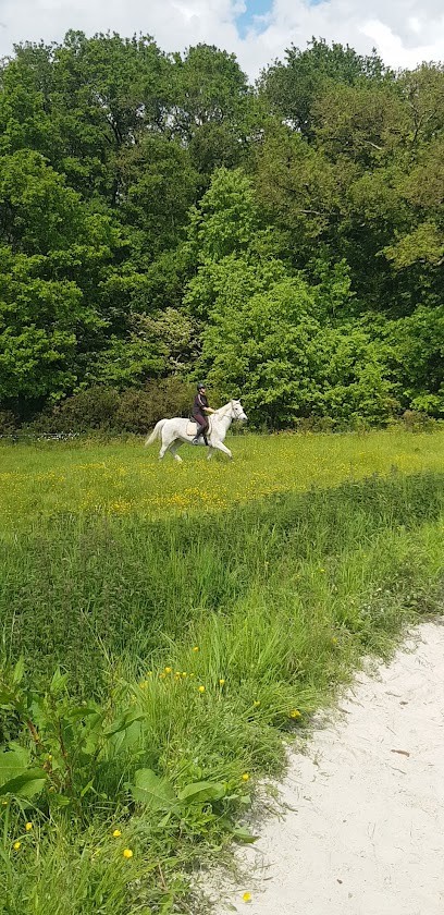 Equestrian Center Du Bois De Soeuvres, Centre Equestres à Vern-sur-Seiche