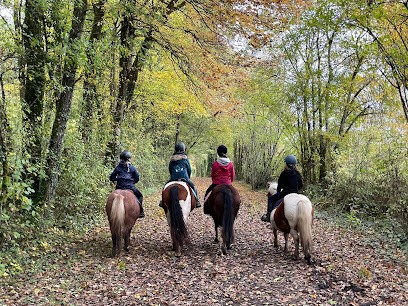 Les Sabots Du Lin, Centre Equestres à Saint-Laurent-de-Lin