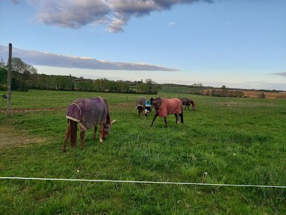 WÖRZ Geli (Worz) Les Grappins, Pension pour Chevaux à Bouhans