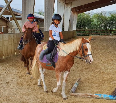 ECURIES DE L ESTANG, Centre Equestres à Tresques