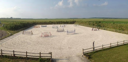 Stud Des Myosotis - Pension Horses, Centre Equestres à Foucrainville