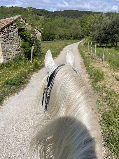 Equestrian Center Le Chambon, Centre Equestres à Saint-Julien-du-Serre