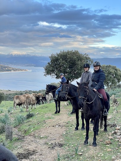 L’Orca Agri-Cultura & Cavalli, Centre Equestres à Serra-di-Ferro