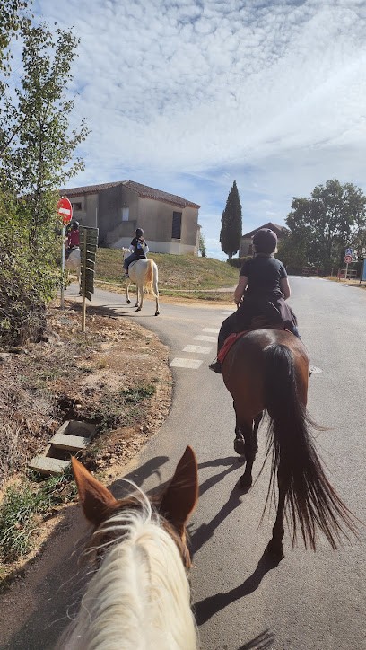 Ferme équestre Le Cheval Blanc, Centre Equestres à Lacapelle-Cabanac