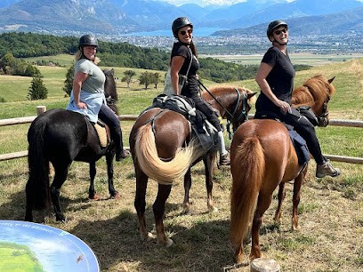 Au Crin Des Vents, Centre Equestres à Cruseilles