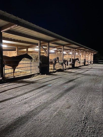 HARAS DE ROUFFIGNY, Centre Equestres à Neuvy-au-Houlme
