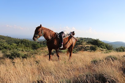 La Ferme Fontseque, Centre Equestres à Saint-Jean-de-Minervois