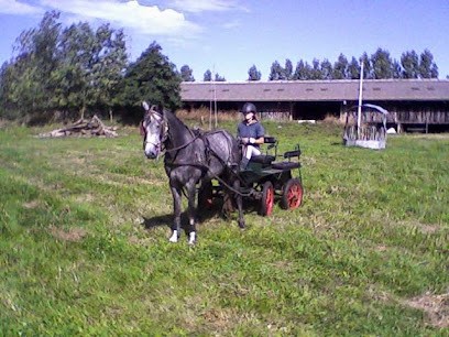 Ecurie CEC / Vanessa Lombardino, Pension pour Chevaux à Saint-Germain-de-Clairefeuille