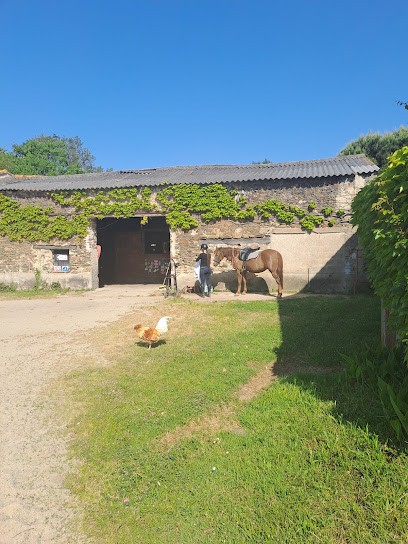 ECURIES DE LA MONE, Pension pour Chevaux à Pont-Saint-Martin