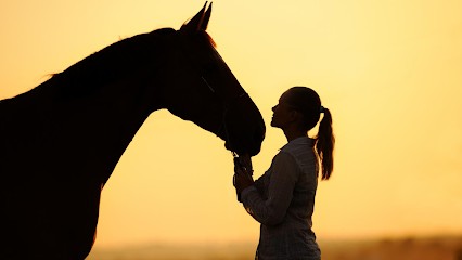 EQUILOGIC, Centre Equestres à Sainte-Radegonde