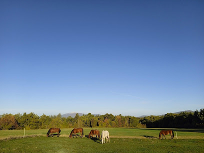 Les Ecuries Du Lazare, Centre Équestre à Revest-du-Bion