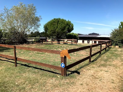 Les Ecuries De Montifray - Equestrian Center Indre Et Loire Course Riding Loches, Centre Equestres à Dolus-le-Sec