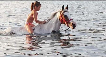 Equi-Libriu, Centre Equestres à Cognocoli-Monticchi