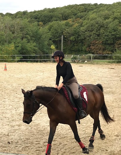 Les Ecuries Des Bruleries, Centre Equestres à Dixmont