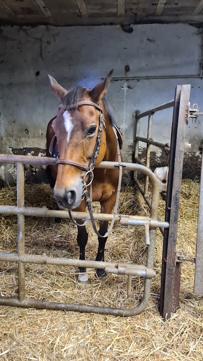 Ecole Riding De Loisey, Centre Equestres à Loisey