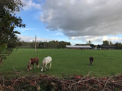 Haras Des Moulins, Pension pour Chevaux à Sylvains-Lès-Moulins