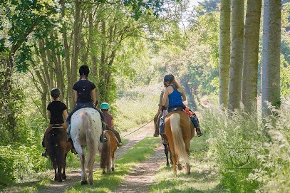 AUREL'HORSE, Centre Equestres à Courcemont