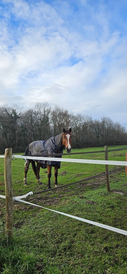 Haras de l’Olivier, Pension pour Chevaux à Cissac-Médoc