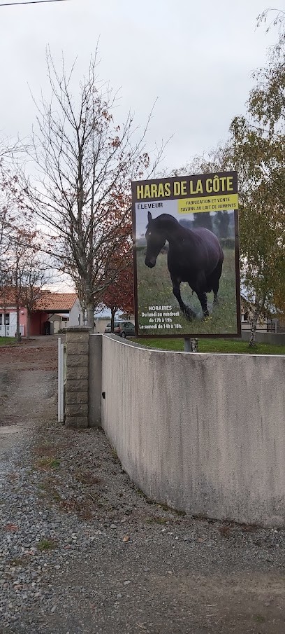 Morantin Jean Michel, Centre Equestres à Saint-Viaud