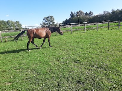Les Ecuries Du Mesnil David, Centre Equestres à Illois